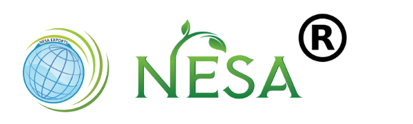 Nesa Solutions, Inc.