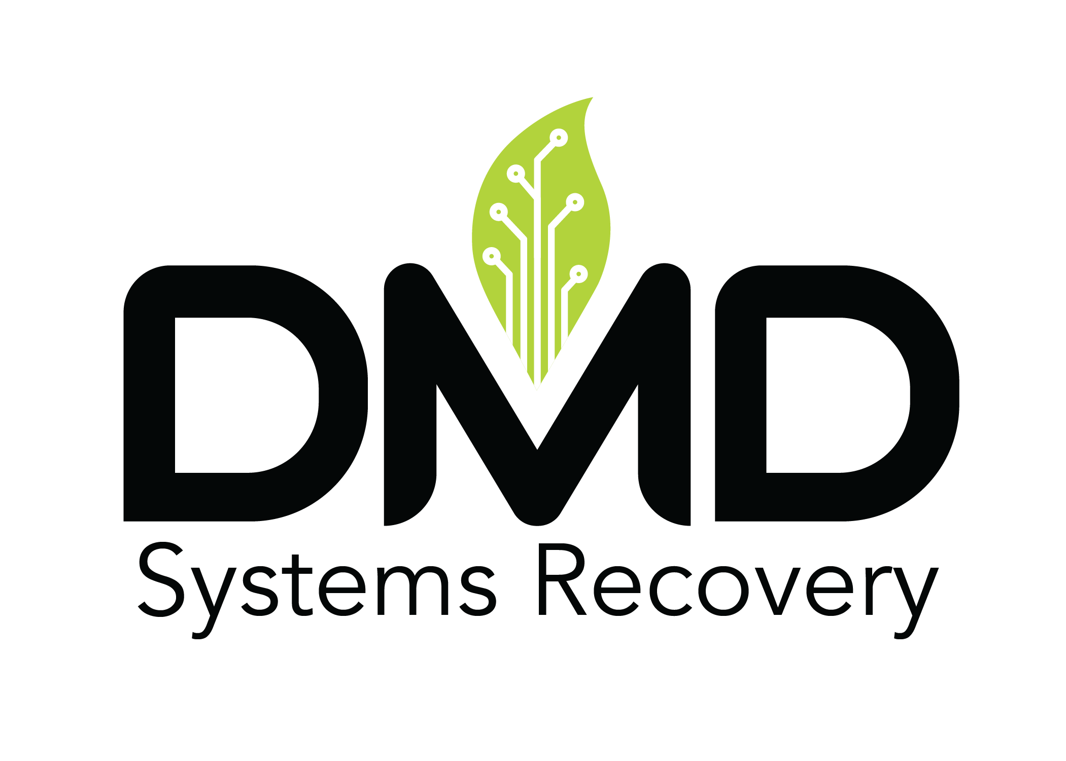 Dmd Systems Recovery Inc