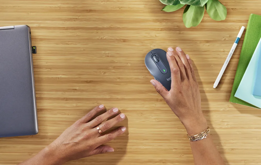 SIGNATURE M650 FOR BUSINESS     WL MOUSE BOLT GRAPHITE
