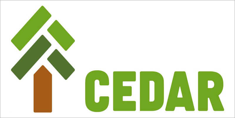 Cedar Electronics Holding Co.