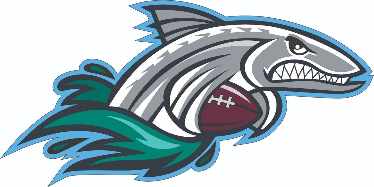 Barracuda