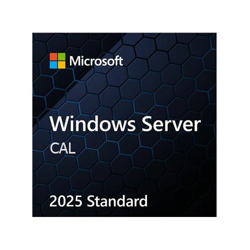 WINDOWS SERVER CAL 2025 ENGLISH 1PK DSP OEI 5 CLT DEVICE CAL