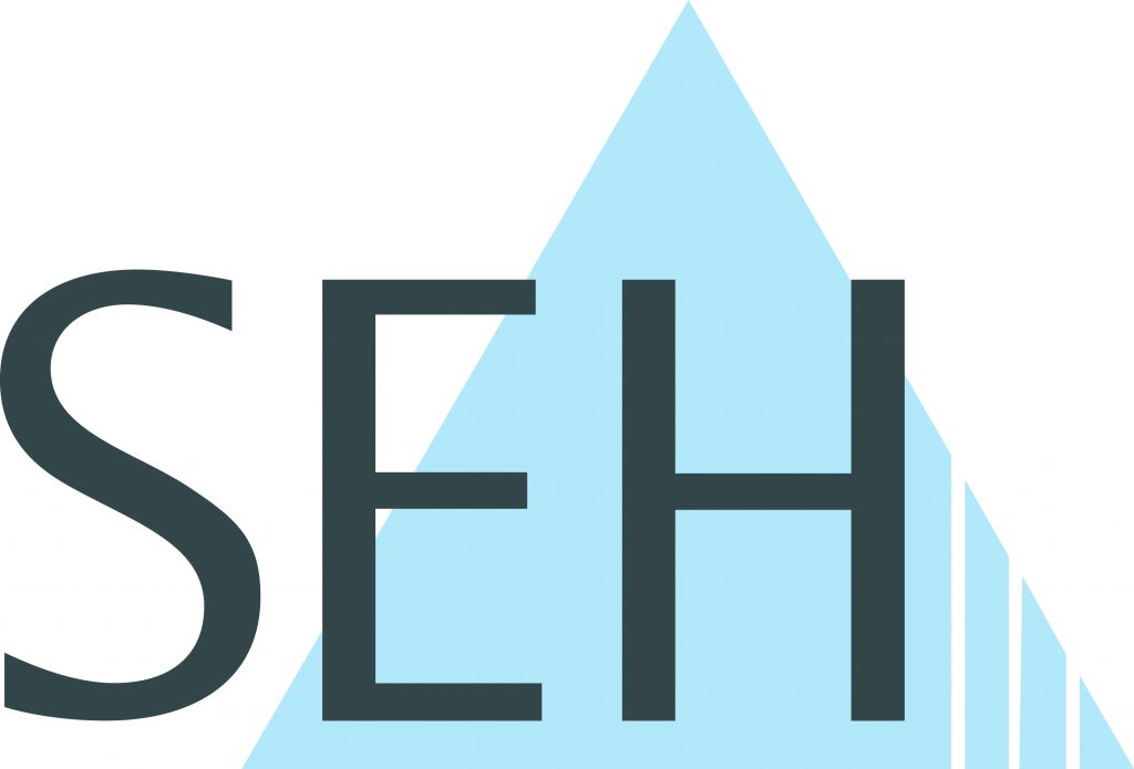 Seh Technology