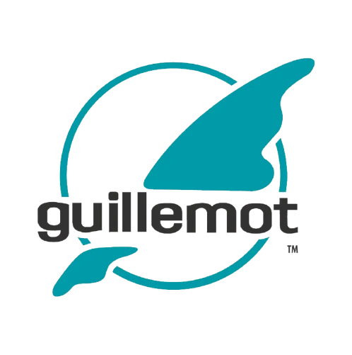 Guillemot