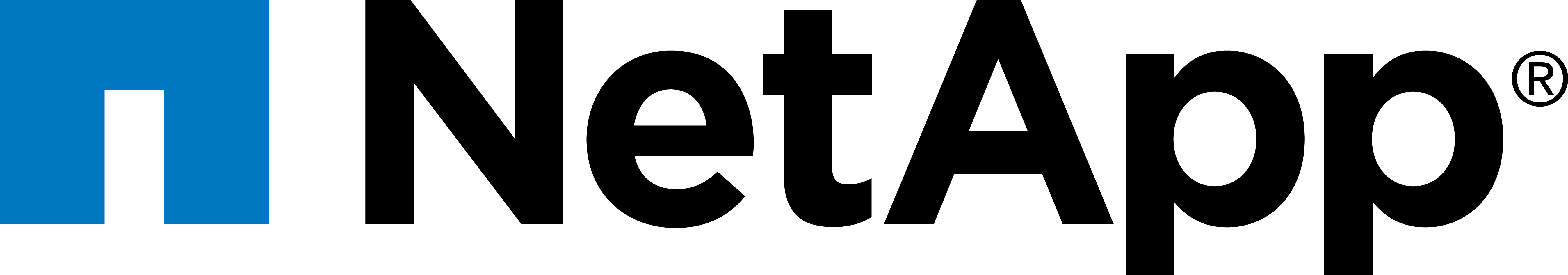 Netapp Inc