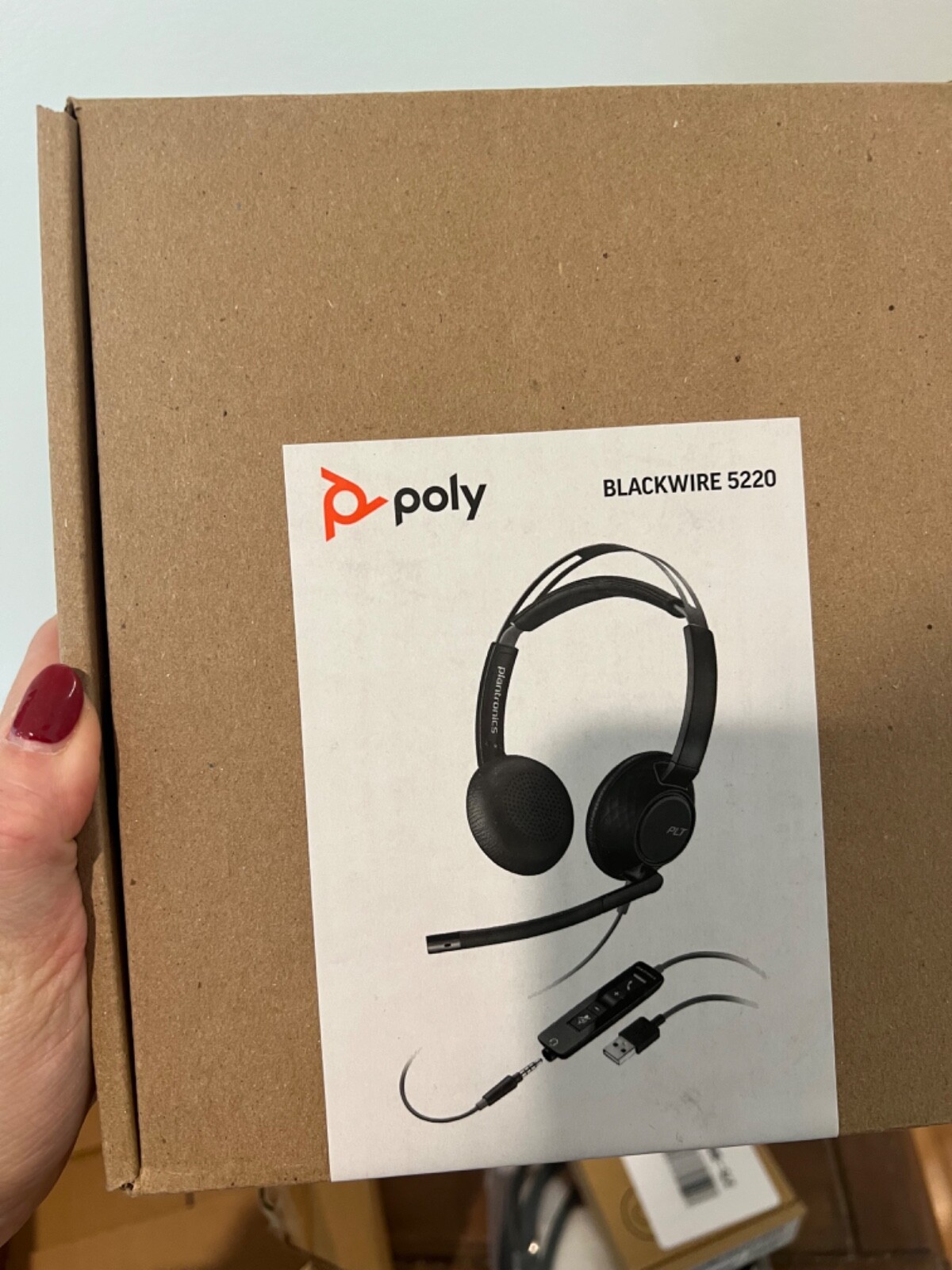 Blackwired (us) Inc.